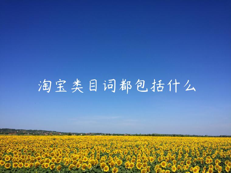 淘寶類目詞都包括什么